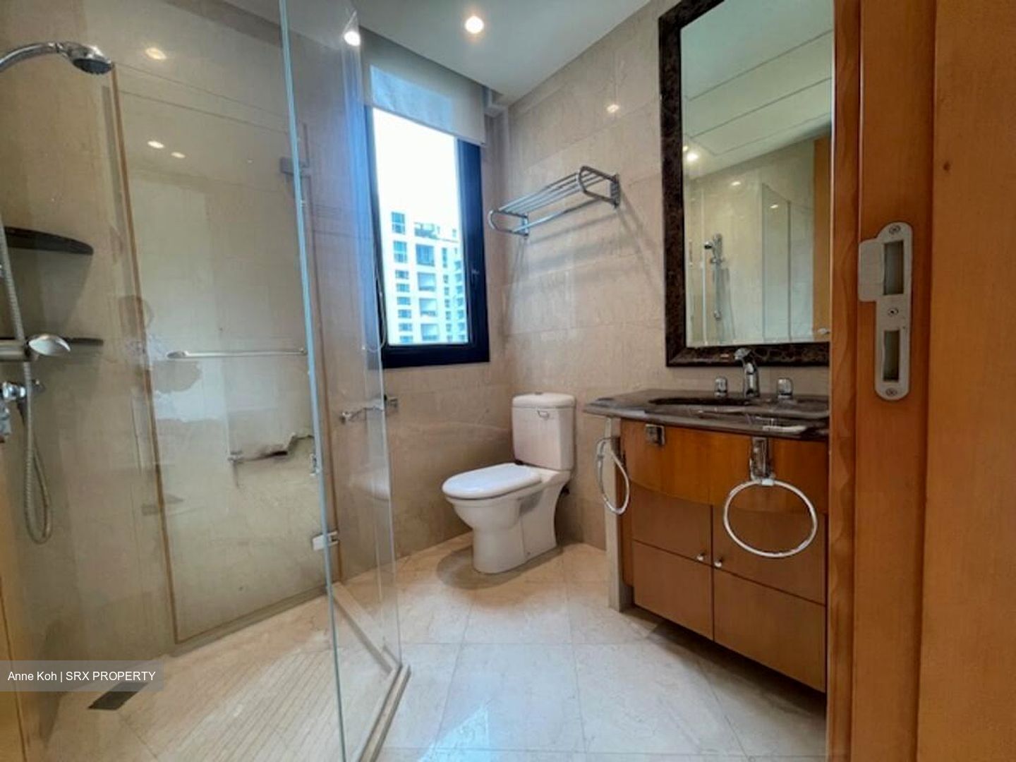 Ardmore Park (D10), Condominium #512842491